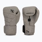 Рукавиці боксерські Hayabusa T3 LX slate
