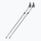 Палиці для скандинавської ходьби Fizan Carbon Pro Impulse grey