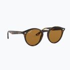 Окуляри сонцезахисні Ray-Ban RB2180 light havana/brown polarized