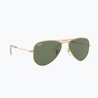 Окуляри сонцезахисні дитячі Ray-Ban Aviator arista gold/dark green