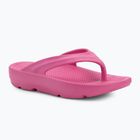 В'єтнамки жіночі Ellesse Aletha fuxia