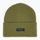 Зимова шапка з папороті Oakley B1B Gradient Patch Beanie з папороттю