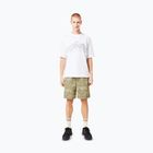 Футболка чоловіча Oakley Wired Mtn Scape Tee white