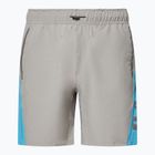 Шорти чоловічі Oakley Training Sidepanel cement