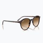 Окуляри сонцезахисні Ray-Ban Bernard havana/brown gradient