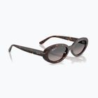 Окуляри сонцезахисні Ray-Ban RB2223 havana/gradient grey