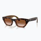 Окуляри з камерою Ray-Ban Meta Zena havana/gradient brown