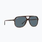 Окуляри сонцезахисні Ray-Ban Bill havana/blue