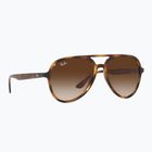 Окуляри сонцезахисні Ray-Ban RB4376 havana/brown gradient