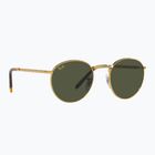 Окуляри сонцезахисні Ray-Ban New Round gold/green