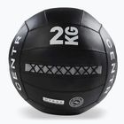Медичний м'яч CENTR Wall Ball Centr x Hyrox 2 kg black