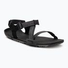 Сандалі barefoot чоловічі Xero Shoes Z-Trail EV multi / black