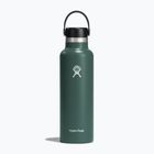 Пляшка туристична Hydro Flask Standard Flex 620 мл fir