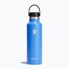 Пляшка туристична Hydro Flask Standard Flex 620 мл cascade