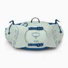 Сумка-бананка чоловіча Osprey Talon 6 л mint green/night shift