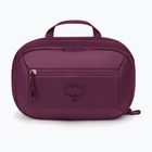Косметичка Osprey Ozone Large Toiletry Kit moody burgundy
