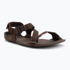 Сандалі barefoot чоловічі Xero Shoes Z-Trek brown