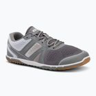 Чоловічі босоніжки Xero Shoes HFS II сірі/білі