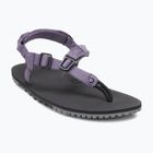 Сандалі barefoot жіночі Xero Shoes H-Trail sage purple HTW-SGPU