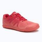 Кросівки barefoot жіночі Xero Shoes HFS II raspberry / sunset / coral / gradient