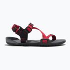 Сандалі barefoot дитячі Xero Shoes Z-Trail charcoal/red pepper