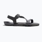 Сандалі barefoot чоловічі Xero Shoes Z-Trail EV steel gray/asphalt
