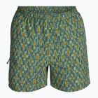 Штани трекінгові чоловічі чоловічі Royal Robbins All-In algae flash pt
