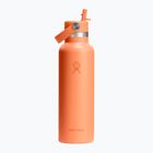 Пляшка термічна Hydro Flask Standard Flex Straw 620 мл nectar