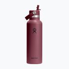 Пляшка термічна Hydro Flask Standard Flex 621 ml burgundy