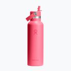 Термопляшка Hydro Flask Standard Flex 621 мл popstar pink