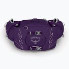 Сумка-бананка жіноча Osprey Tempest 6 л violac purple