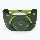 Сумка-бананка Osprey Duro Dyna 2 л seaweed green/limon