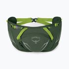Сумка-бананка Osprey Duro Dyna 2 л seaweed green/limon