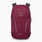 Рюкзак туристичний Osprey Hikelite 26 л chameleon/ black