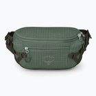 Сумка Osprey Transporter Waist Pack 3 л pine leaf