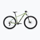 Велосипед гірський Kellys Spider X30 29" pistachio green