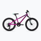 Велосипед дитячий Kellys Kiter 50 20" pink