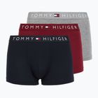 Труси чоловічі Tommy Hilfiger UM0UM03521 3 пари  desert sky/mid grey heather/red