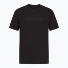 Футболка чоловіча Calvin Klein LVGMS5K182 Graphic black