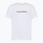 Футболка чоловіча Calvin Klein LVGMS5K183 Graphic classic white