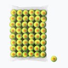 Тенісні м'ячі дитячі Wilson Starter Orange Tball 48 шт. жовті WRT13730B