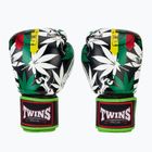 Боксерські рукавички Twins Special Fancy FBGVL3-54 Grass green/black