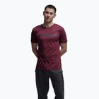 Футболка чоловіча Atomic Alps maroon