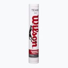 Волани для бадмінтону Wilson Team 12 шт. white