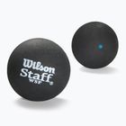 М'ячі для сквошу Wilson Staff Ball Blue Dot 12 шт. black