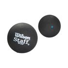 М'ячі для сквошу Wilson Staff Squash Ball Bl Dot 2 шт. чорні WRT617500+