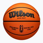 М'яч баскетбольний Wilson EVO NXT Africa League brown розмір 7