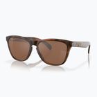 Окуляри сонцезахисні Oakley Frogskins matte tortoise/prizm tungsten