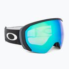 Окуляри лижні Oakley Flight Path л matte black/prizm argon