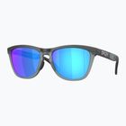 Окуляри сонцезахисні Oakley Frogskins Range matte black/prizm sapphire